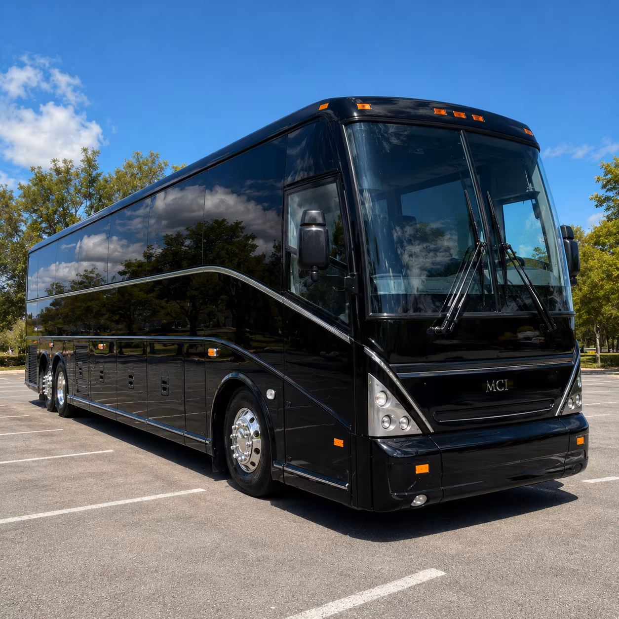 buses for ashley river plantation field trips along sc 61
