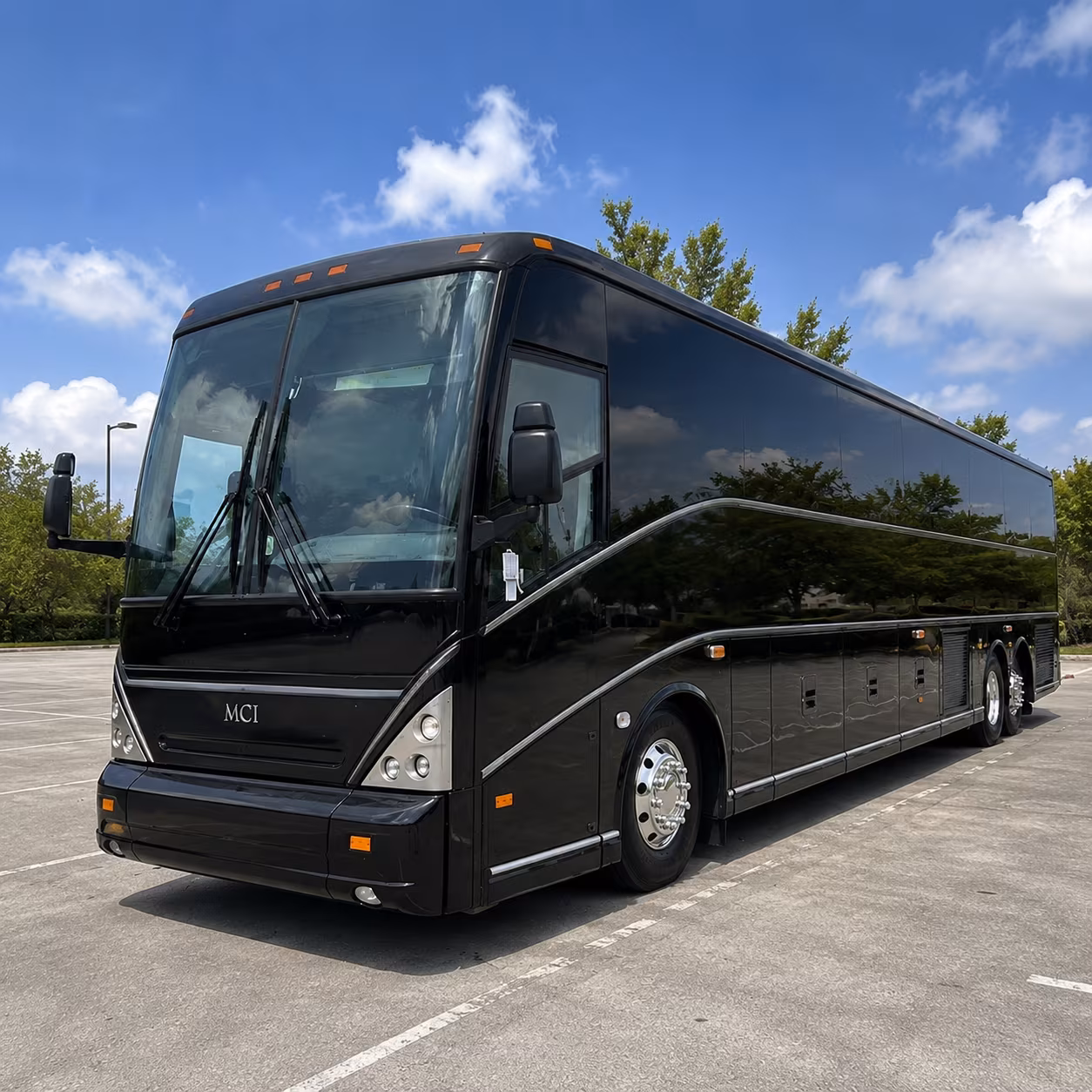 charleston riverdogs game day bus rentals at the joe